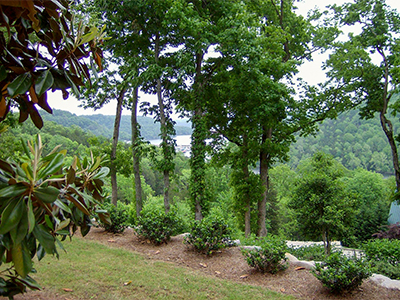 Lake Lot Landscaping