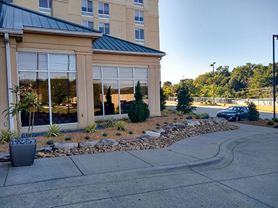 Hilton Garden Inn Landscaping