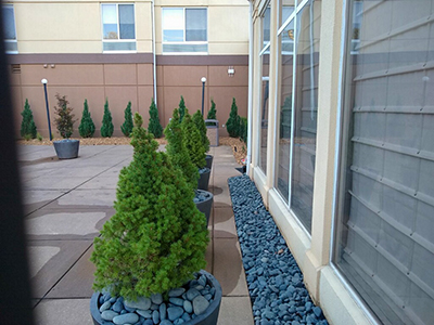 Hilton Garden Inn Landscaping