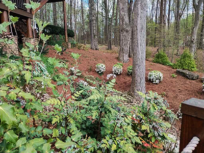 Wooded Landscaping